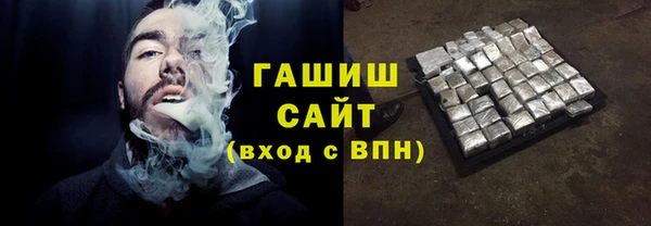 сатива Беломорск