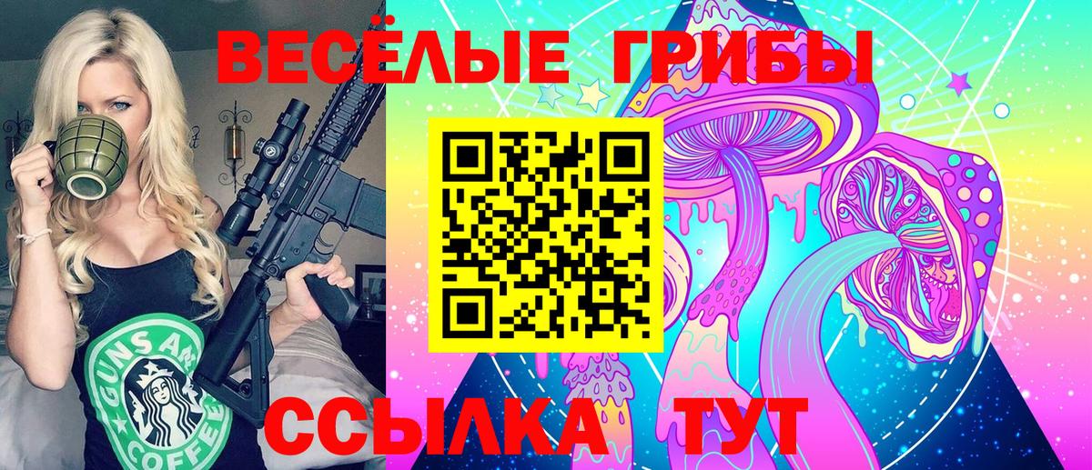 Бузулук  Псилоцибиновые грибы Psilocybine cubensis  где продают   Вход с VPN 