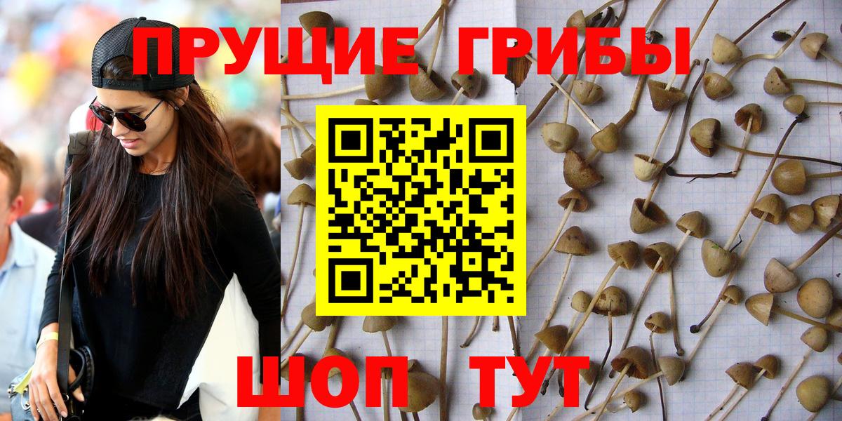 Псилоцибиновые грибы мухоморы  Псилоцибиновые грибы Magic Shrooms  Бузулук 