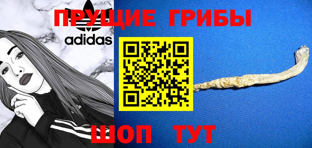 Псилоцибиновые грибы MAGIC MUSHROOMS Бузулук
