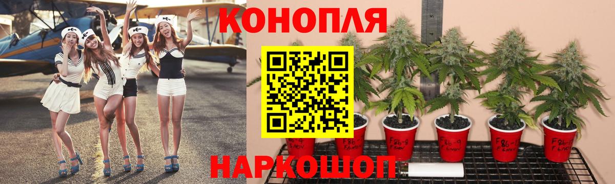 Бошки Шишки Ganja Бузулук